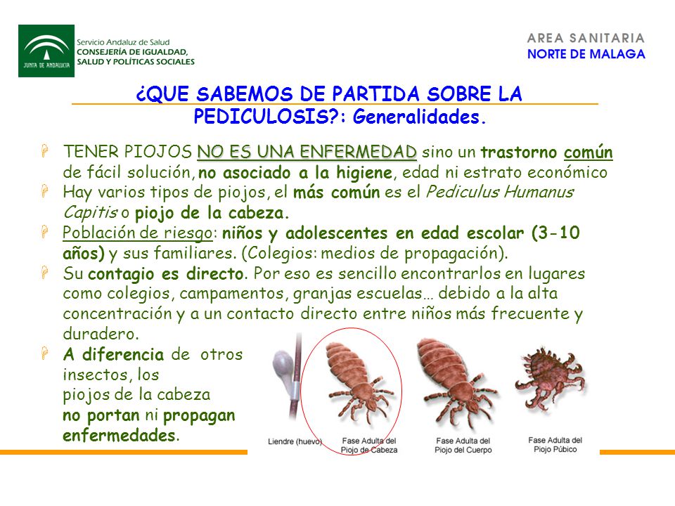 tasa de crecimiento de piojos tasa de crecimiento de piojos